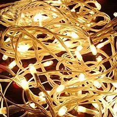 ریسه ال ای دی سوزنی 220 ولت