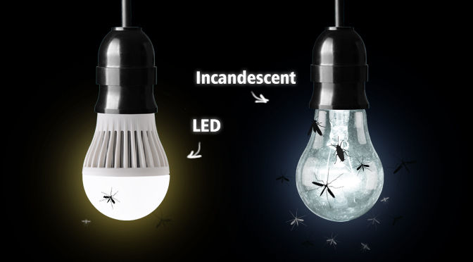آیا لامپ های نواری LED باعث جذب حشرات می شوند؟