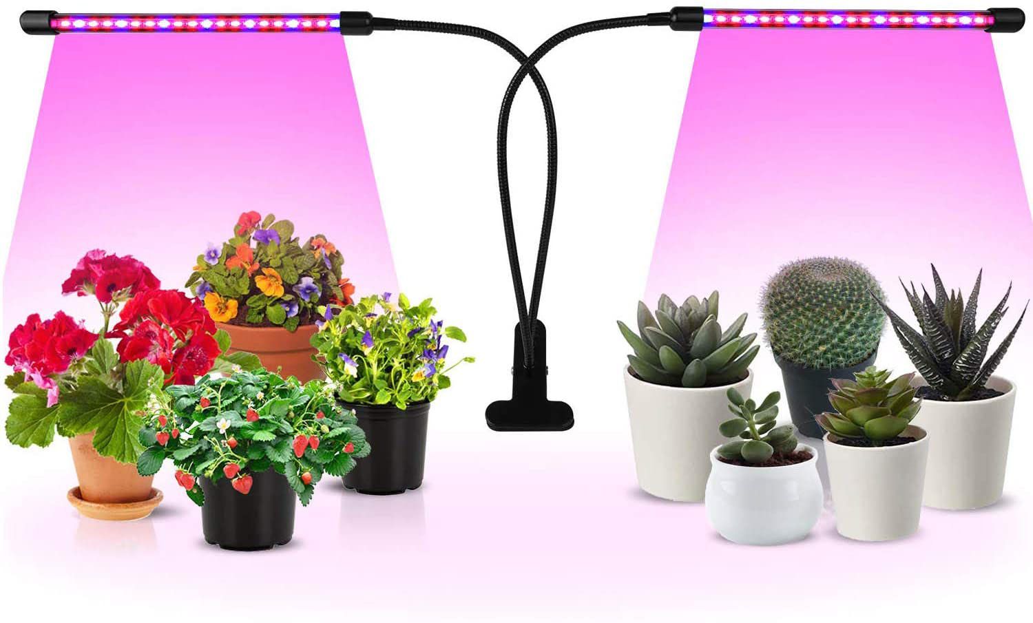 آیا گیاهان نور لامپ ال ای دی را دوست دارند؟